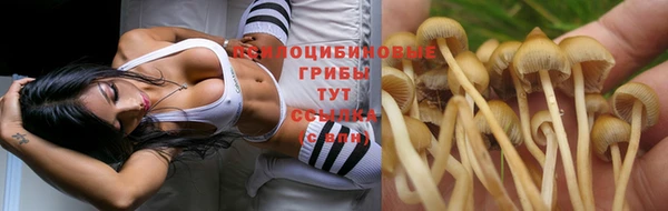 мдпв Магадан