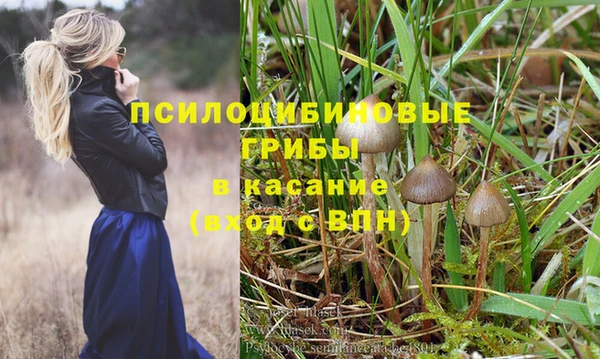 мдпв Магадан