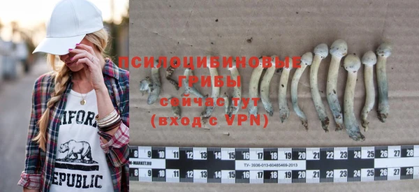 гашик Магас