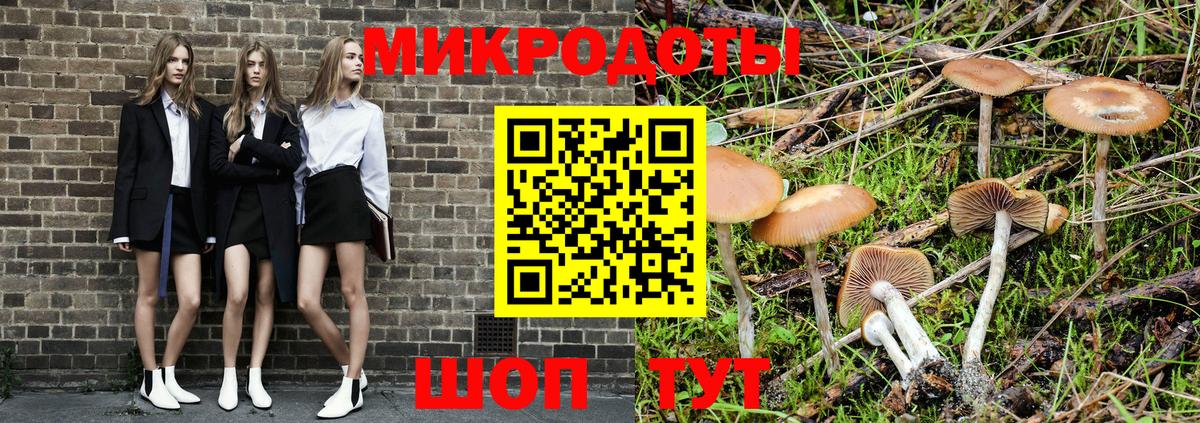 Псилоцибиновые грибы мицелий Нижний Тагил