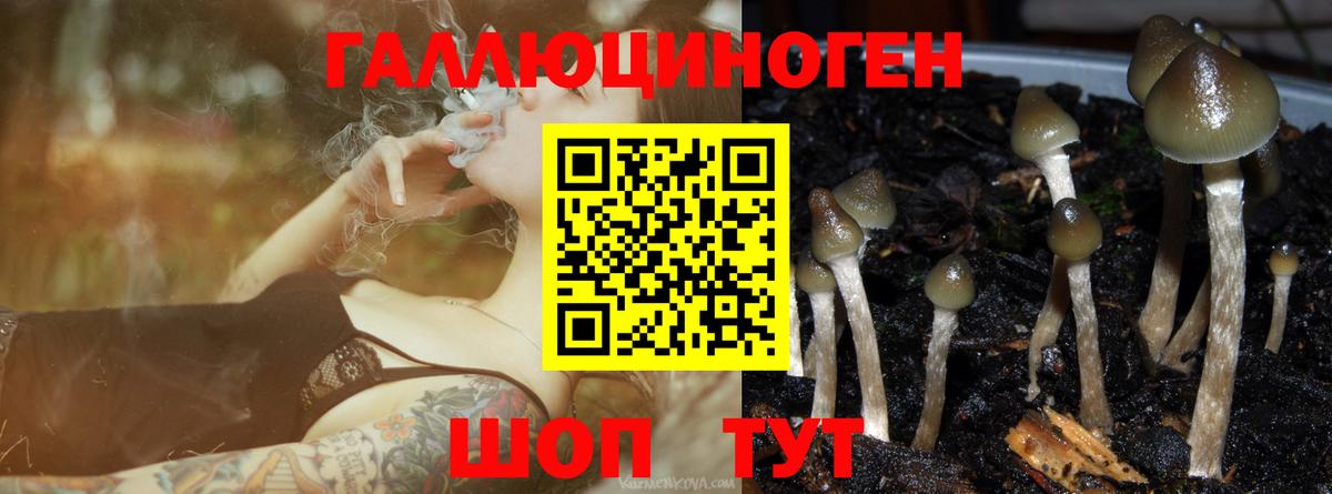 Галлюциногенные грибы ЛСД  Вход с VPN  Псилоцибиновые грибы MAGIC MUSHROOMS  Нижний Тагил 